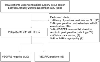 Combined clinical features and MRI parameters for the prediction of VEGFR2 in hepatocellular carcinoma patients